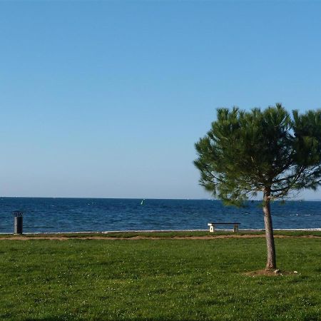 Lovely Fazana Apartments 400M From The Sea Kültér fotó